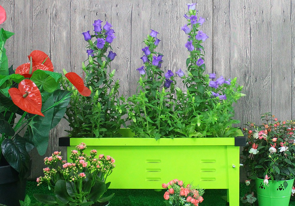 Metal garden planting bed series