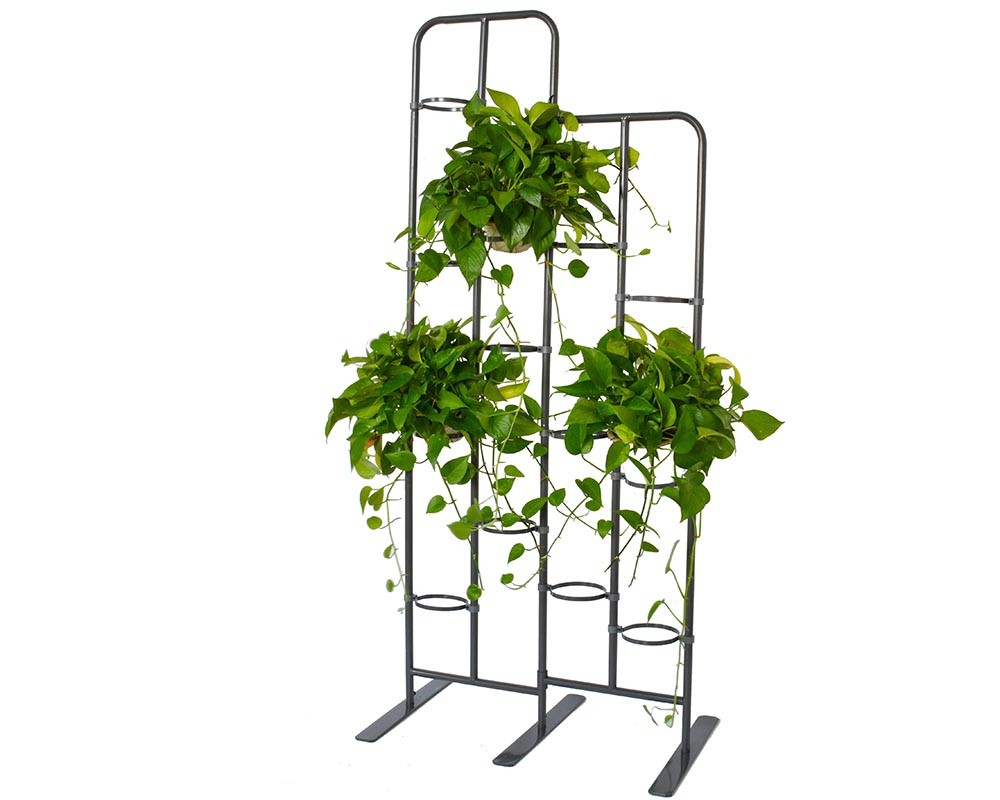 Flower rack,TC025
